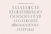 Montcers A Modern Serif Font, a Serif Font by Storytype Studio (Thumbnail 14 of 15)
