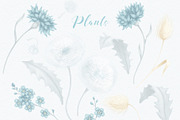 Fluffy, Funny, Cute, a Decorative Illustration by MeadowFox (Thumbnail 5 of 8)