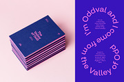 Oddval Text Font Family, a Sans Serif Font by Type Forward (Thumbnail 6 of 10)