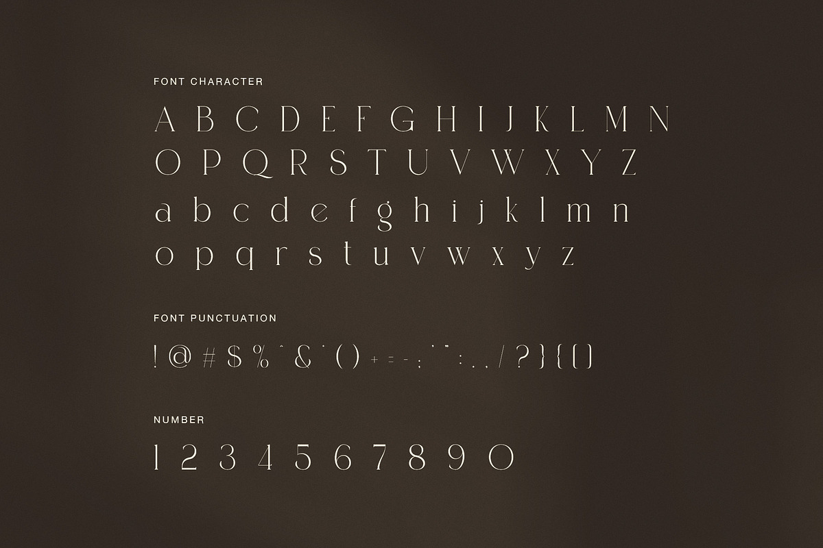Roman Elegant Ligature Serif Font, a Serif Font by Graphicxell (Photo 7 of 8)