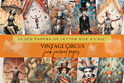GOTHIC AND RENAISSANCE FAIRY PAPER, a Person Illustration by Daring Digies (Thumbnail 9 of 10)