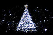 shining star Christmas tree, an Illustration by Leone_v (Thumbnail 3 of 3)