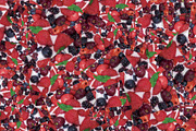 Cake topped with a variety of fresh berries pattern, a Food & Drink Photo by DanFLCreativo (Thumbnail 1 of 2)