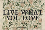 Rollions - Display Serif Font, a Serif Font by Zarma Type (Thumbnail 8 of 12)