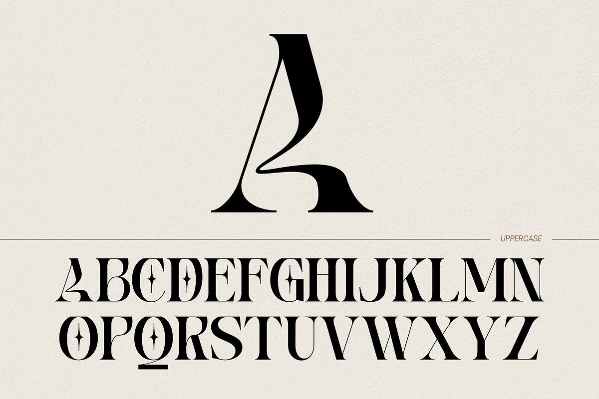 Fashion Norsa - Modern Branding Logo, a Serif Font by Nirmana Visual (Photo 6 of 10)