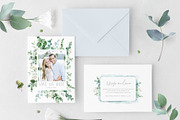 Scent of Eucalyptus - Graphic Set, an Illustration by studioequinox (Thumbnail 13 of 21)