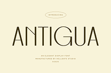 Antigua Elegant Font