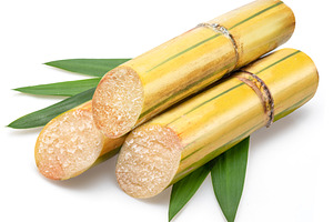 Sugarcanes stalks with sugar cane leaves isolated on white backg, a Food & Drink Photo by Volff