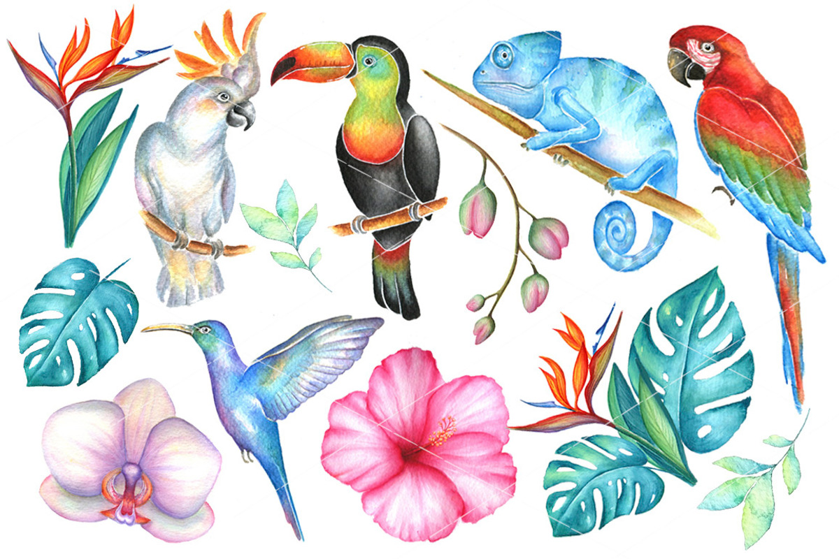 Big tropical bundle, an Illustration by artdreamer (Photo 5 of 10)