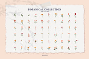 Spring Flowers Hand Drawn, a Decorative Illustration by Hanazumi (Thumbnail 2 of 11)