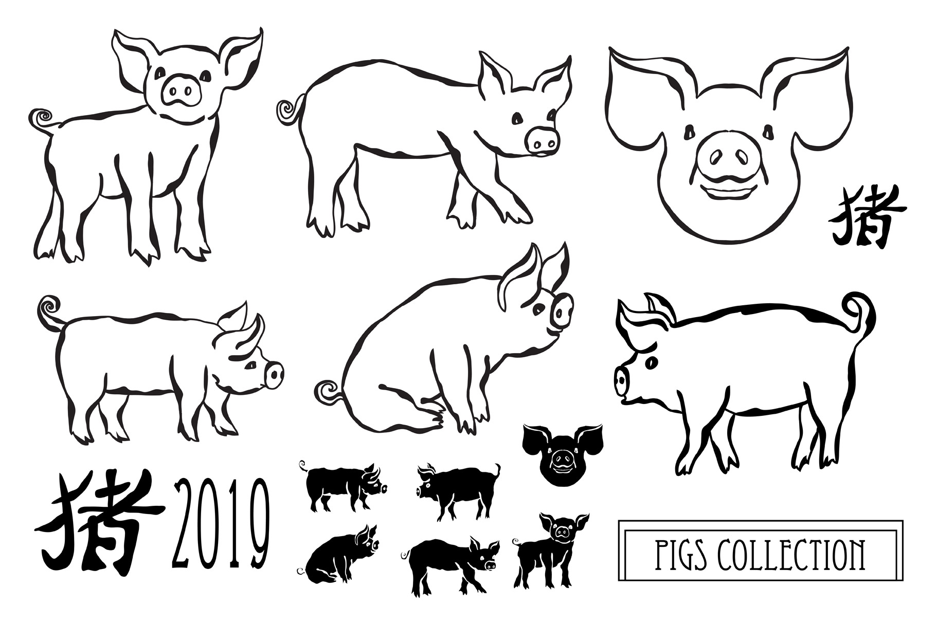 Hand Drawn Pigs and Patterns, an Animal Illustration by Sunset&Sea Design