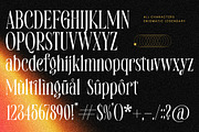 Enigmatic Legendary Modern Serif, a Serif Font by timelesstype.co (Thumbnail 18 of 20)