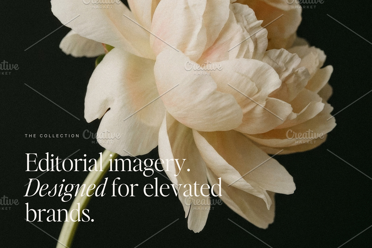 150 Editorial Stock Photos | Allure, a Person Photo by Adam and Grace (Photo 4 of 20)