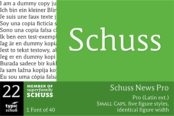 SchussNewsPro No.22 (1 Font) preview 7