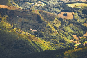 Soaring bird over valley, an Animal Photo by SkyNext