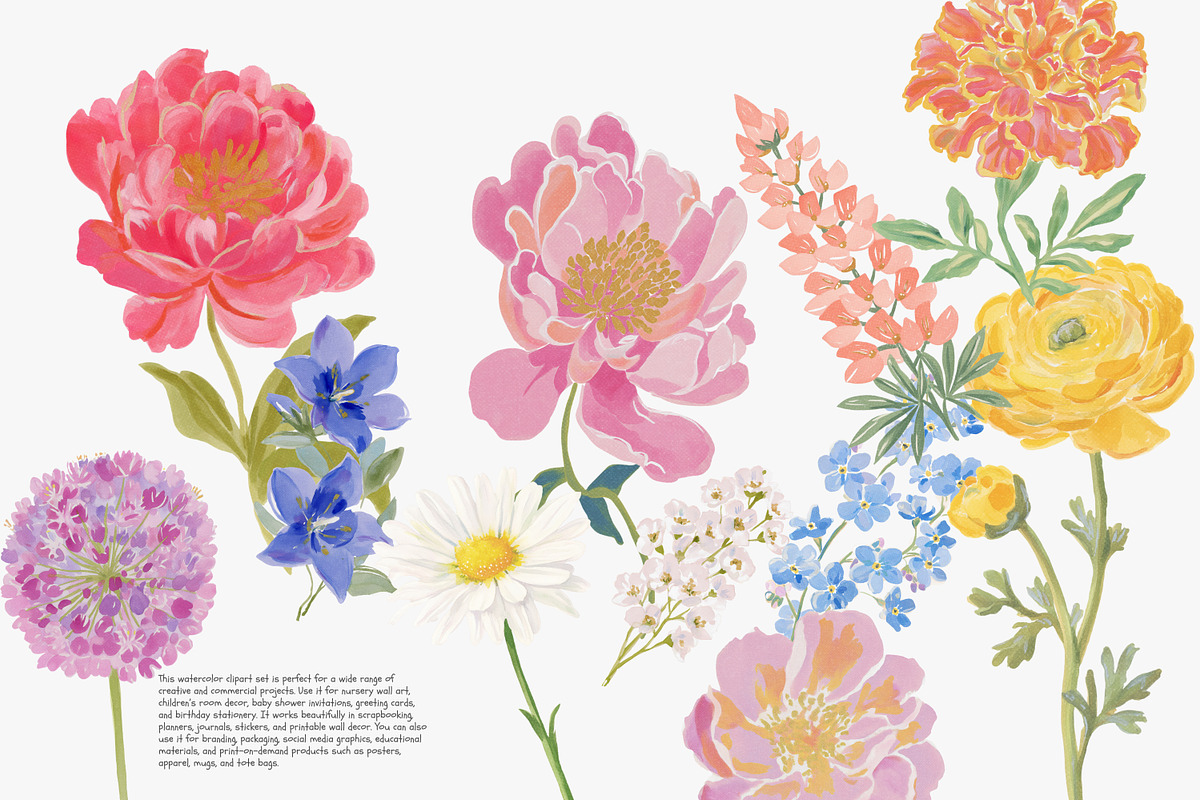watercolor floral clipart bundle, a Decorative Illustration by Patishop Art (Photo 2 of 9)