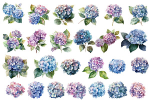 Hydrangea Clipart, Blue Watercolor