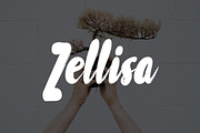 Zellisa Google Slide Presentation, a Presentation Template by SlideBester (Thumbnail 2 of 9)