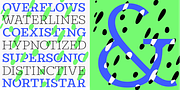 Constant, a Slab Serif Font by Underscore (Thumbnail 3 of 12)