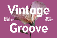 Vintage Groove Bold Family Font