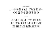 Aresink - Experimental Gothic Font, a Serif Font by Imoodev (Thumbnail 9 of 9)
