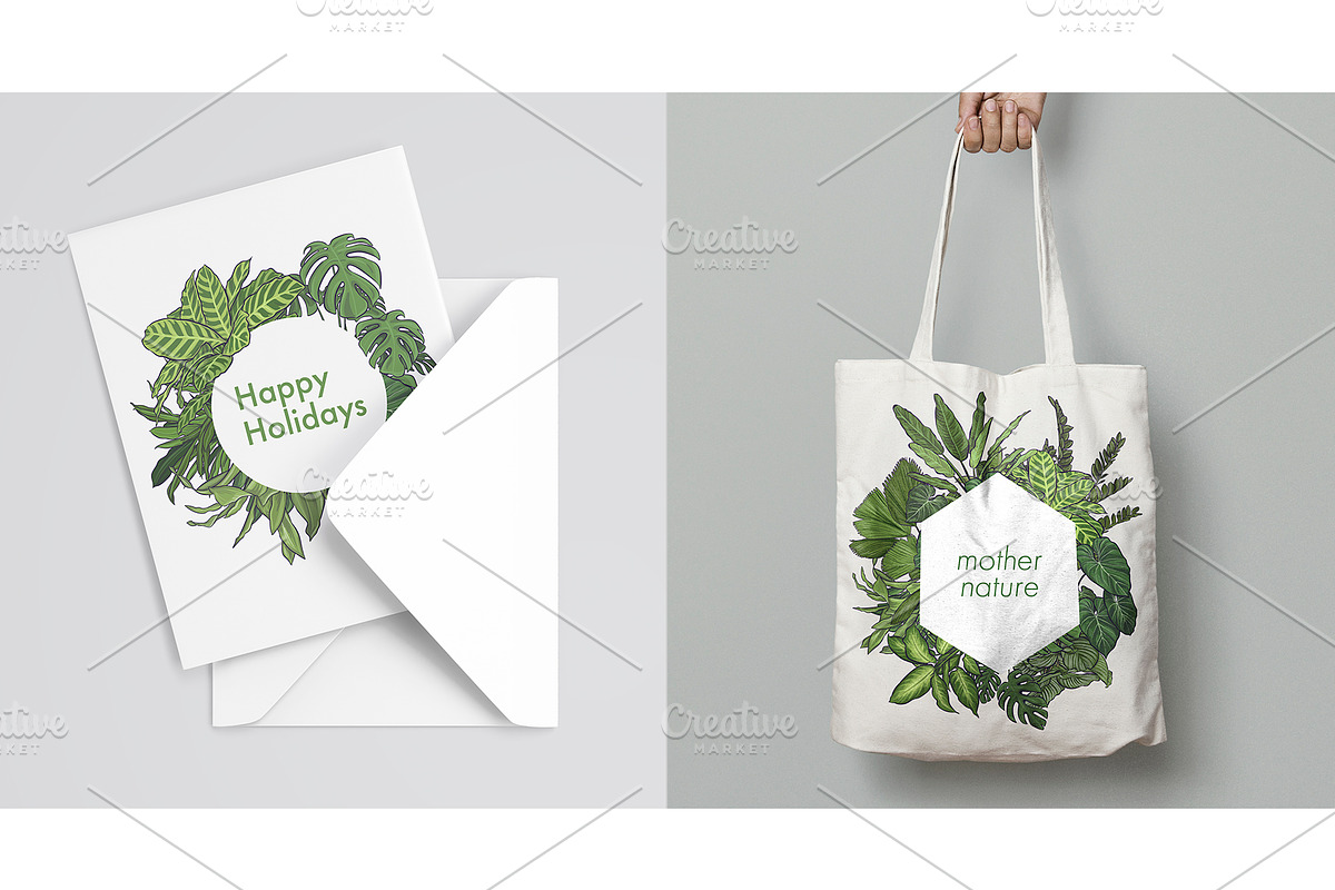 Indoor Plants VECTOR illustrations, a Seasonal Illustration by Natalka Dmitrova art (Photo 7 of 16)