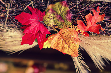Artificial autumn leaves, a Nature Photo by Nature and travel