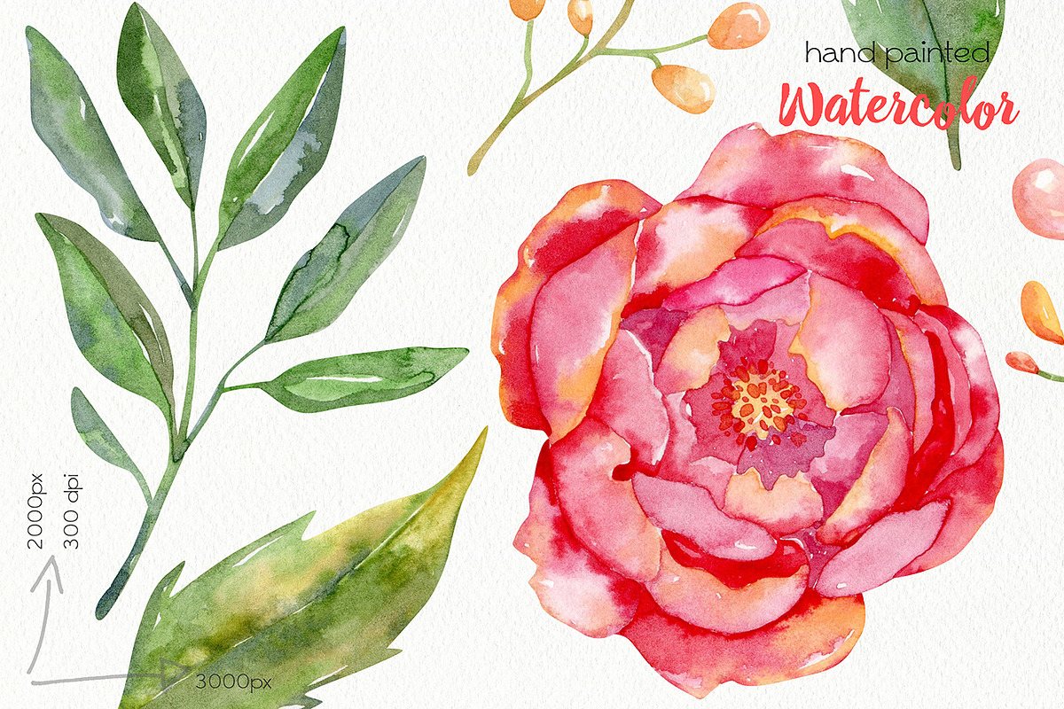 Watercolor Flowers Bundle, an Illustration by OllyKo Art (Photo 12 of 15)