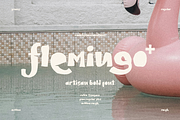 Flemingo Plus, a Sans Serif Font by Sans & Sons (Thumbnail 1 of 10)
