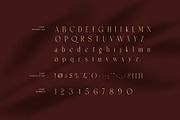 Rictten Luxury Serif Font, a Serif Font by Graphicxell (Thumbnail 7 of 8)