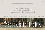 Hegina Ligature Serif Font, a Serif Font by Graphicxell (Thumbnail 2 of 8)