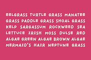 HANDPICKED SEASHELLS | Bouncy Font, a Handwritten Font by type peace (Thumbnail 7 of 11)