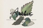 Anthus Signature, a Handwritten Font by Eltypesstudio (Thumbnail 1 of 10)