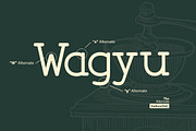 Fogakie – Old Serif Typeface, a Serif Font by Vadovastd (Thumbnail 3 of 11)