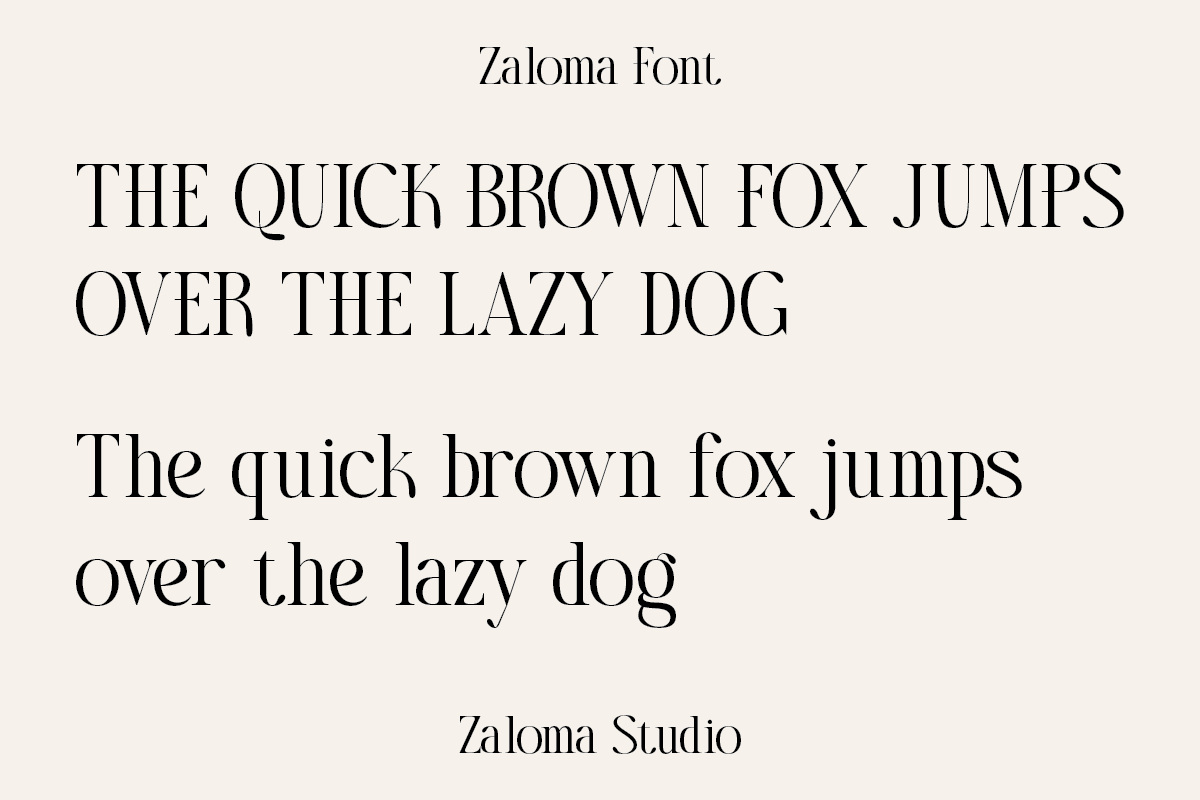 Zaloma, a Serif Font by Zaloma Studio (Photo 7 of 10)