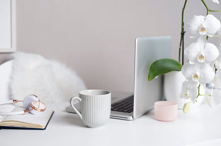 Styled Stock Image, Orchid & Coffee, a Business Photo by Her Creative Studio