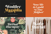Whole Shop Bundle 99% OFF, a Serif Font by supfonts (Thumbnail 8 of 20)
