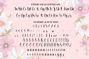 Excellent | Script Font, a Handwritten Font by Scratchones (Thumbnail 7 of 8)