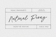 Rosethine | Chic Calligraphy, a Script Font by MJB Letters (Thumbnail 3 of 10)