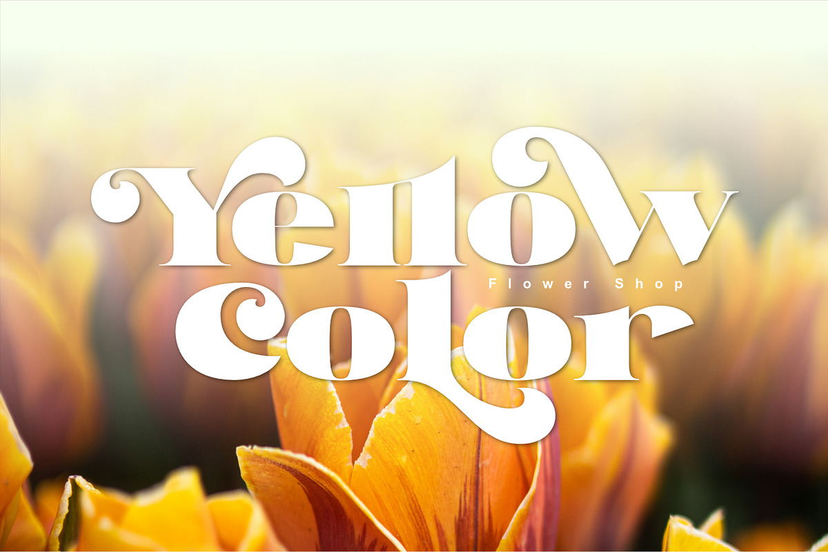 Trimo, a Serif Font by Khoir (Photo 8 of 12)
