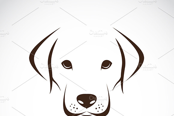 Vector Of A Dog Labrador. Animal.