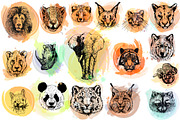Animal Faces, an Animal Illustration by Ecaterina Sciuchina (Thumbnail 1 of 7)