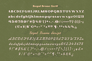 Royal Brune – Classic Font Duo, a Serif Font by Portocraft (Thumbnail 16 of 23)