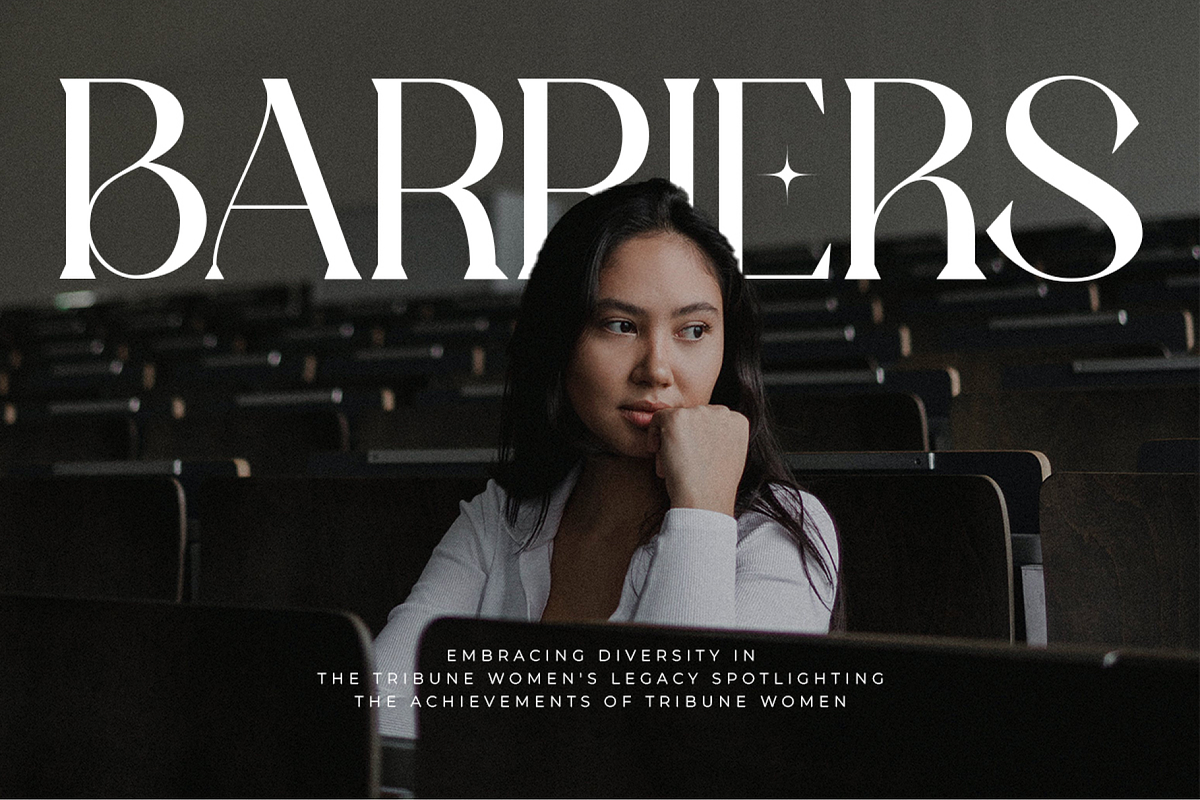 Lawsin Modern Serif Typeface Font, a Serif Font by catalystco.studio (Photo 7 of 11)