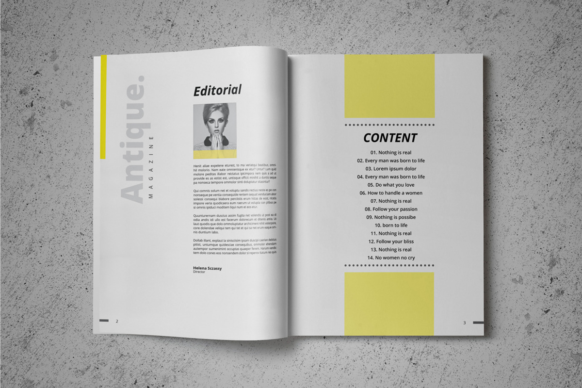 Antique. MGZN Template, a Magazine Template by Kingtown (Photo 2 of 5)