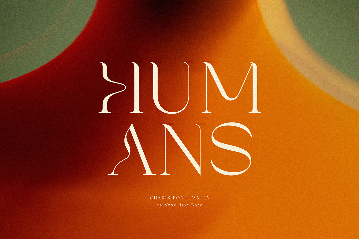 SNS Charis Font Family, a Serif Font by Sans & Sons (Photo 10 of 10)