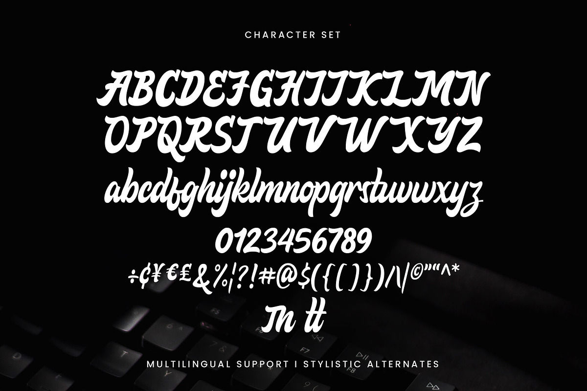 Vanitha, a Script Font by Arterfak Project (Photo 10 of 10)