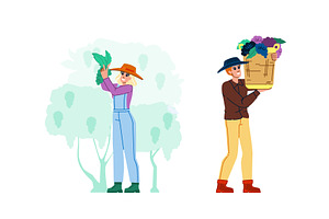 harvesting grapes vector, a Food Illustration by pikepicture