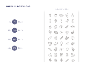 50 Vegetable Lines Icons