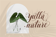 Emelya - Elegant Calligraphy Font, a Script Font by Idea Studio (Thumbnail 3 of 11)
